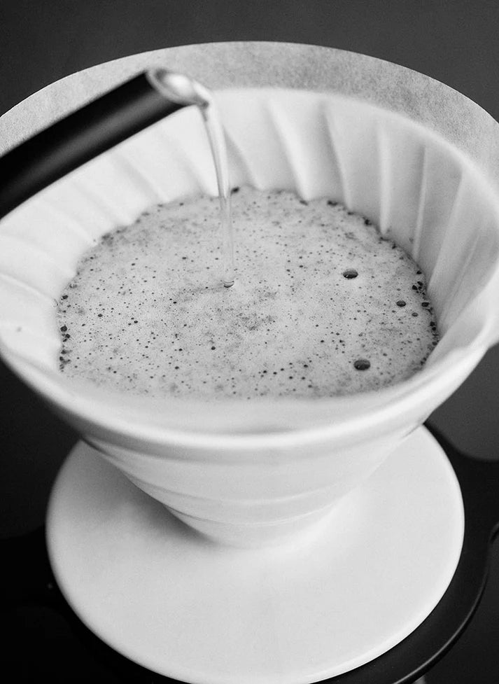 Sibarist CONE Filters – FAST & B3 Technology - Bean Bros.