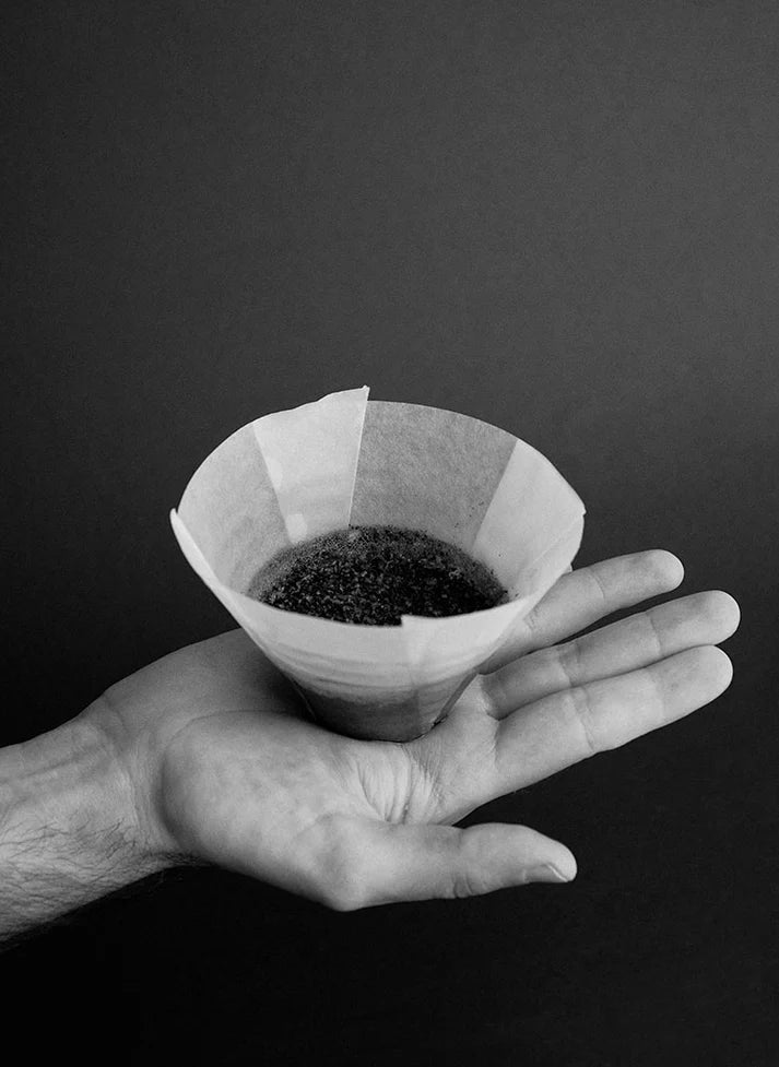 Sibarist FLAT Filters - Bean Bros.